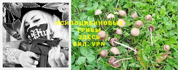 мескалин Балахна