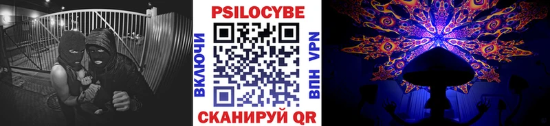 дарнет шоп  Верхняя Пышма  Псилоцибиновые грибы GOLDEN TEACHER 
