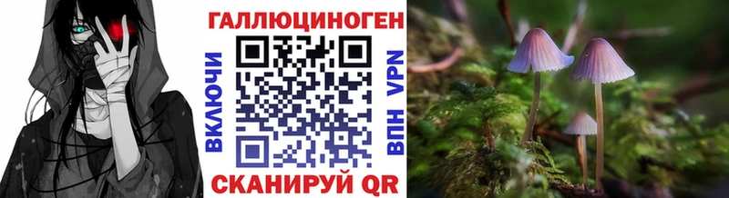 Псилоцибиновые грибы мицелий Верхняя Пышма